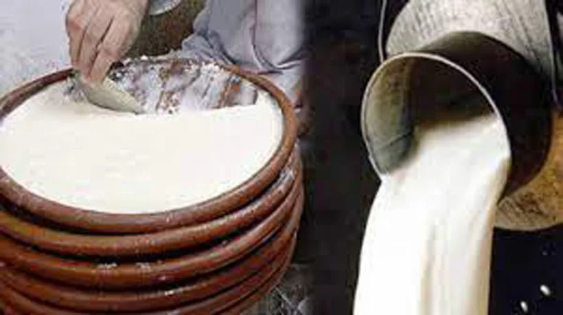 On Eid-ul-Adha in Sahiwal, the prices of milk and curd went up to the sky